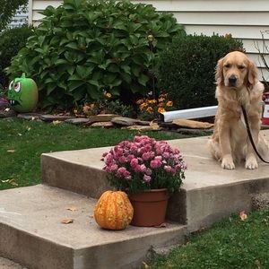 Meet your Posher, Jessica