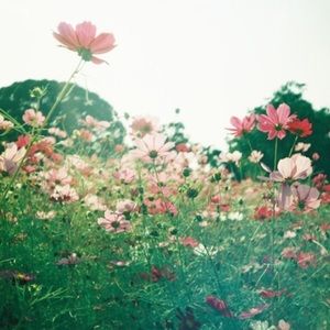 Meet your Posher, Casey