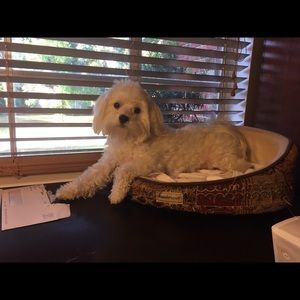 Meet your Posher, Michelle