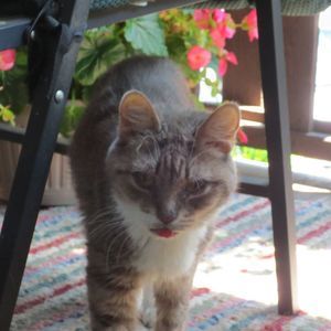 Meet your Posher, Karlee