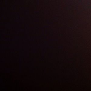 Meet your Posher, Savannah