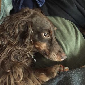 Meet your Posher, Kristie