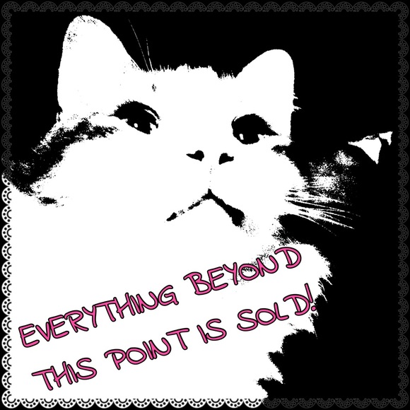 💥EVERYTHING BEYOND THIS POINT IS SOLD💥