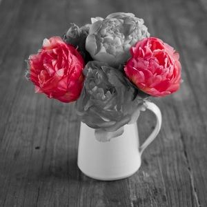 Meet your Posher, Mila