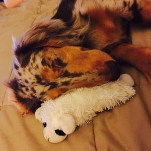 Meet your Posher, Abbey