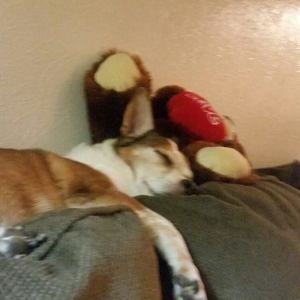 Meet your Posher, Karen