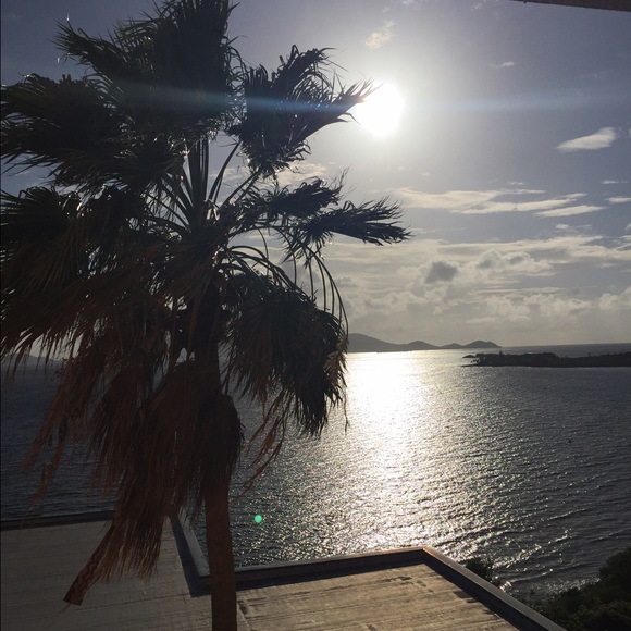 Meet your Posher, Roxi - Picture 1 of 1