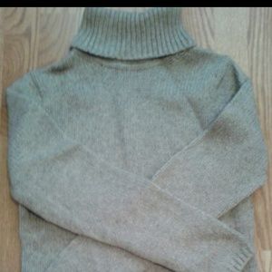 J Crew Turtle Neck Sweater
