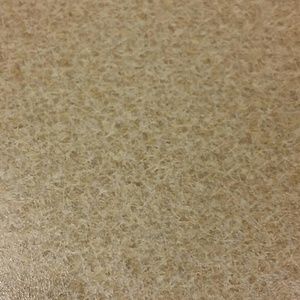 Meet your Posher, Tana