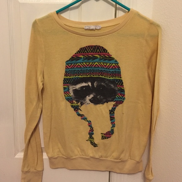 Raccoon sweater