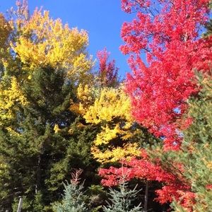 Meet your Posher, Molly