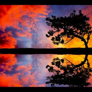 Meet your Posher, Pam