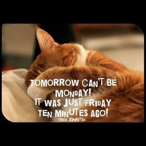 Meet your Posher, Paul