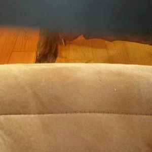 Meet your Posher, Sam