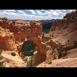 Meet your Posher, Annie