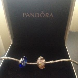 2 charms for Pandora beacelet