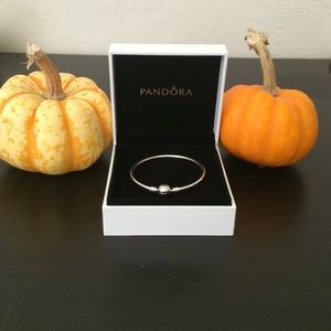 SOLD!!! BRAND NEW pandora bracelet 17cm