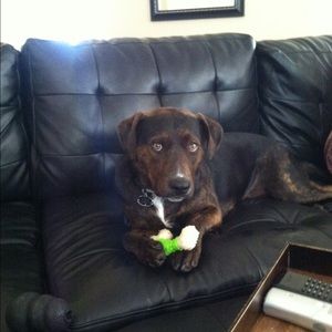 Meet your Posher, Michelle