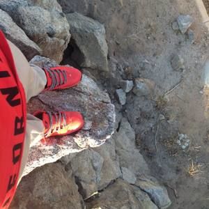 Meet your Posher, Landon