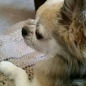 Meet your Posher, Olivia