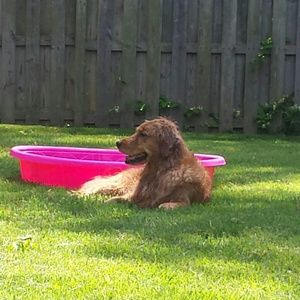 Meet your Posher, Rachael