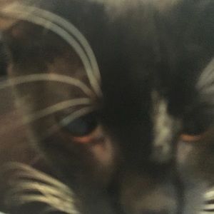 Meet your Posher, Jenny