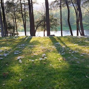 Meet your Posher, Trudy