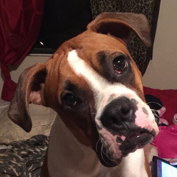 Meet your Posher, Esmer