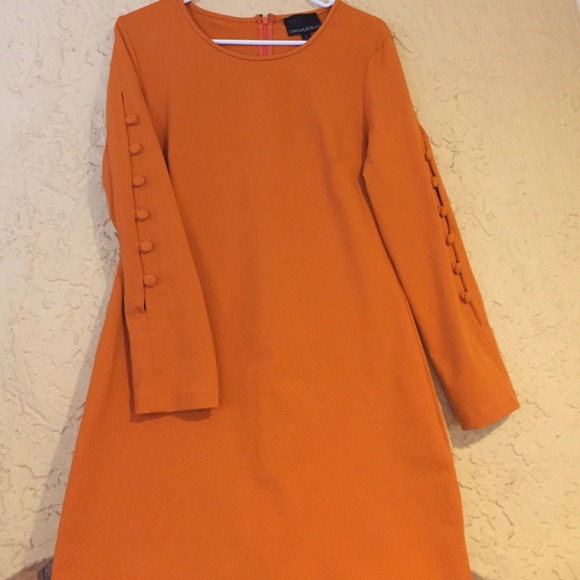 Gorgeous Orange Shift Dress