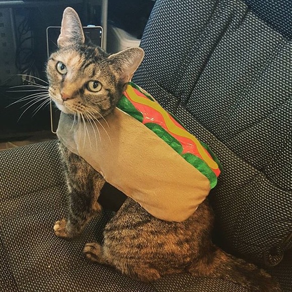 Liana - Picture 2 of 2