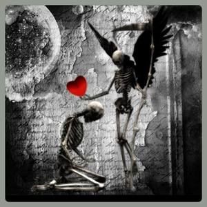 Meet your Posher, Teri