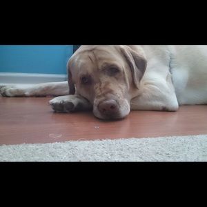 Meet your Posher, Shawn