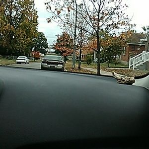 Meet your Posher, Sharva