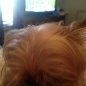 Meet your Posher, Kris