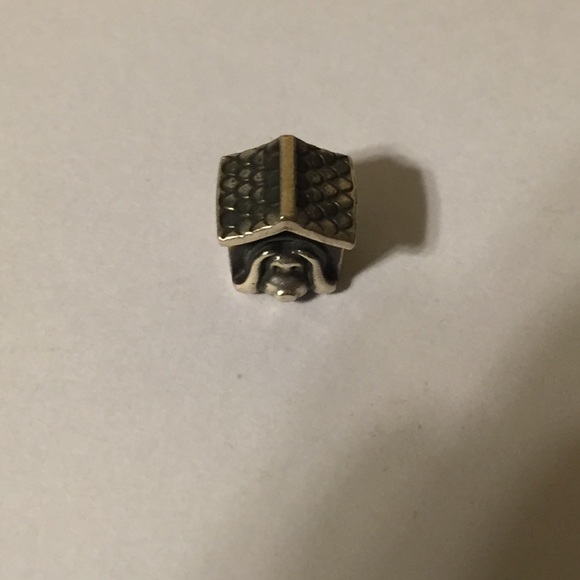 Doghouse Pandora charm❤️