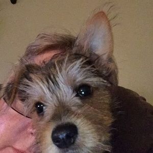 Meet your Posher, Kimi