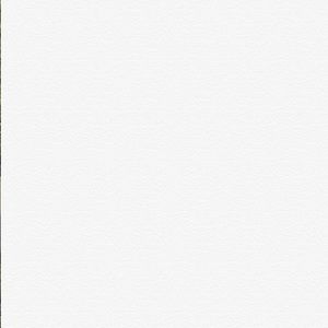 Meet your Posher, Angelica