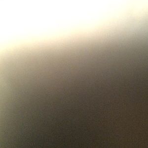 Meet your Posher, Alli