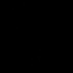 Meet your Posher, Isablella