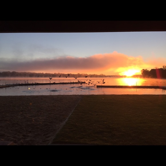 Meet your Posher, Kim - Picture 1 of 1