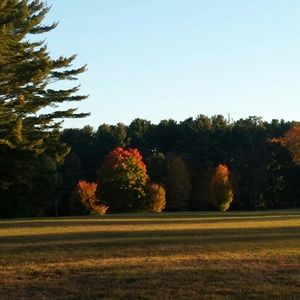 Meet your Posher, Eli