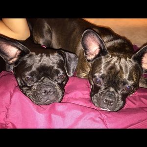 Meet your Posher, Junghee