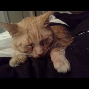 Meet your Posher, Joanne