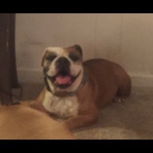 Meet your Posher, Tricia