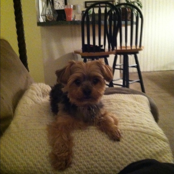 Meet your Posher, Barbara