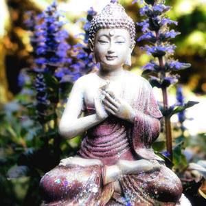 Meet your Posher, Mandy