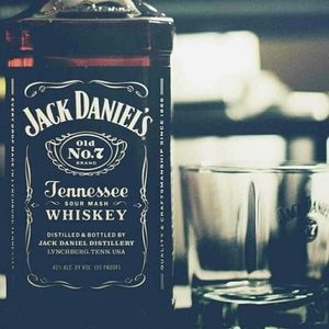 Meet your Posher, Lily