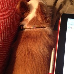 Meet your Posher, Kami