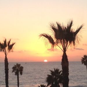 Meet your Posher, Mika