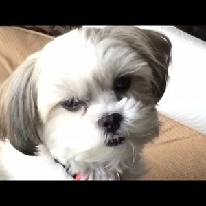 Meet your Posher, Sandra